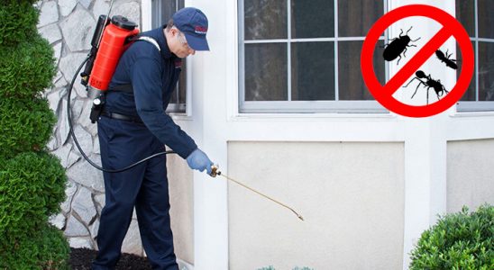 Çorlu Bit İlaçlama böcek ilaçlama ve haşere kontrolü — ilaclama-tr.com